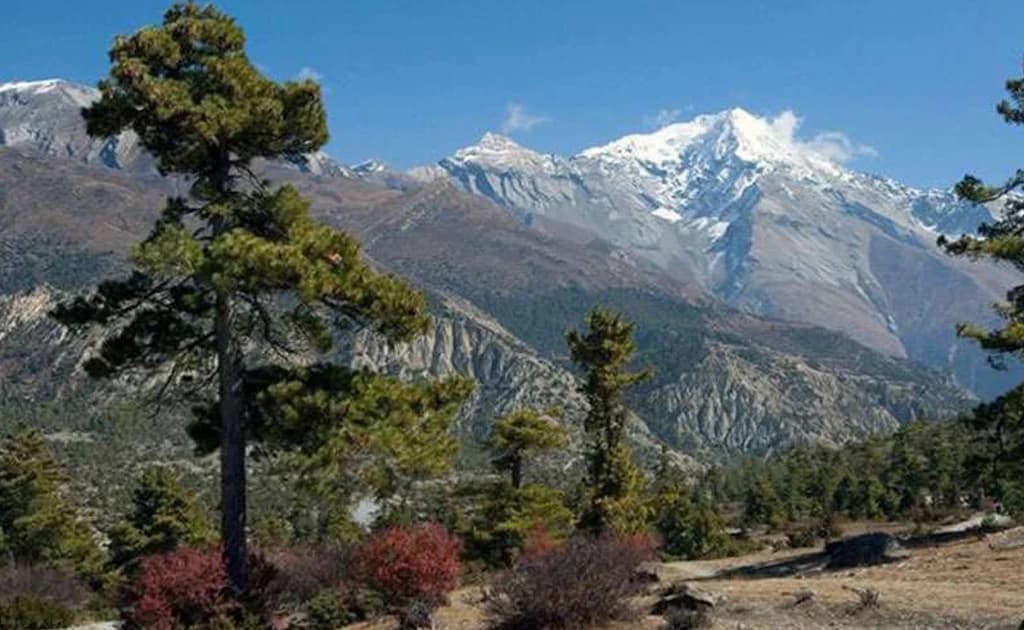 Annapurna Royal Trekking